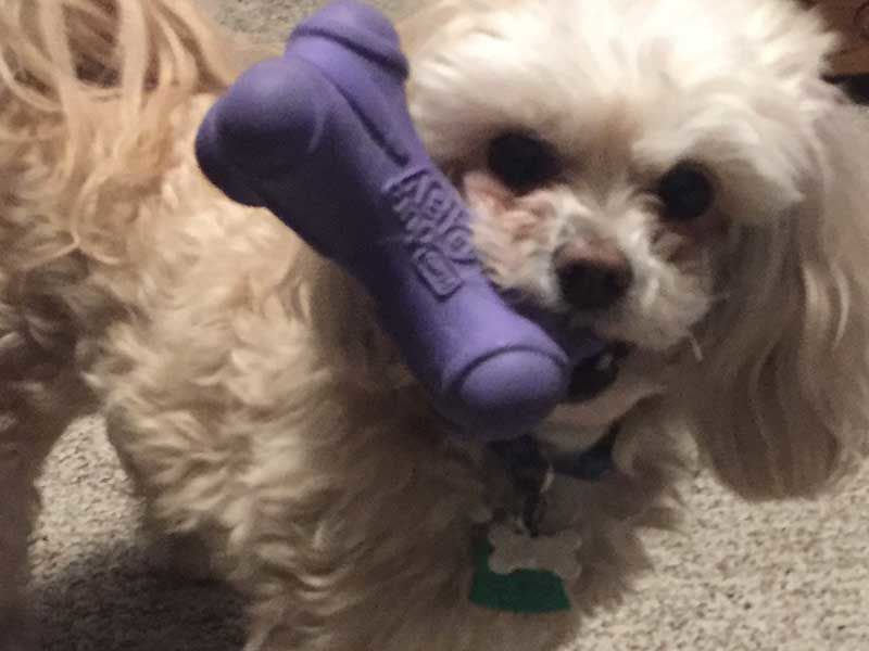 Milo